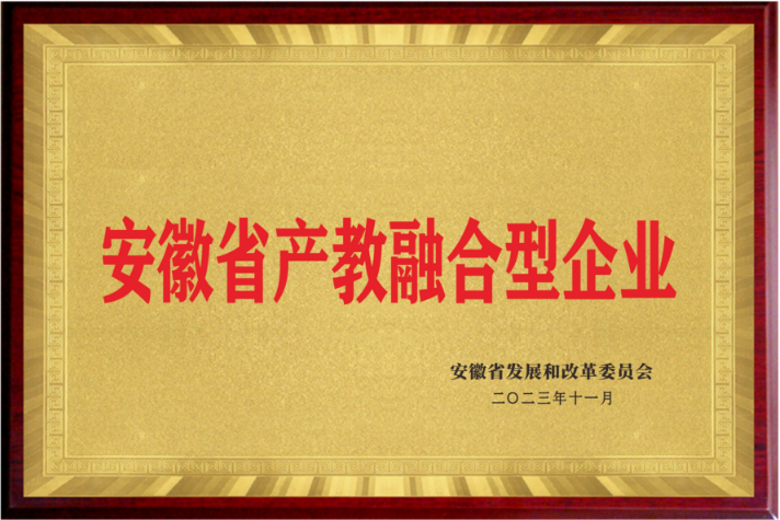 安徽省产教融合型企业